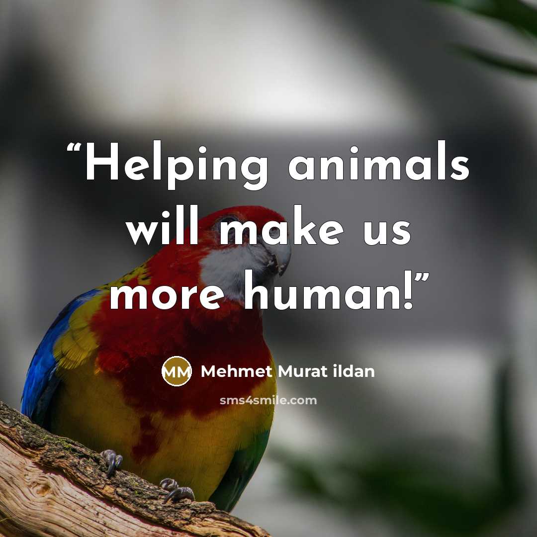 “Helping animals will make us more human!” quote by Mehmet Murat ildan
