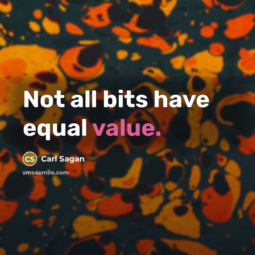 “Not all bits have equal value.” quote by Carl Sagan