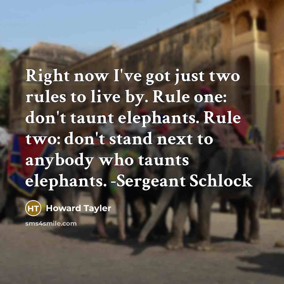 “Right now I've got just two rules to live by. Rule one: don't taunt elephants. Rule two: don't stand next to anybody who taunts elephants. -Sergeant Schlock” quote by Howard Tayler