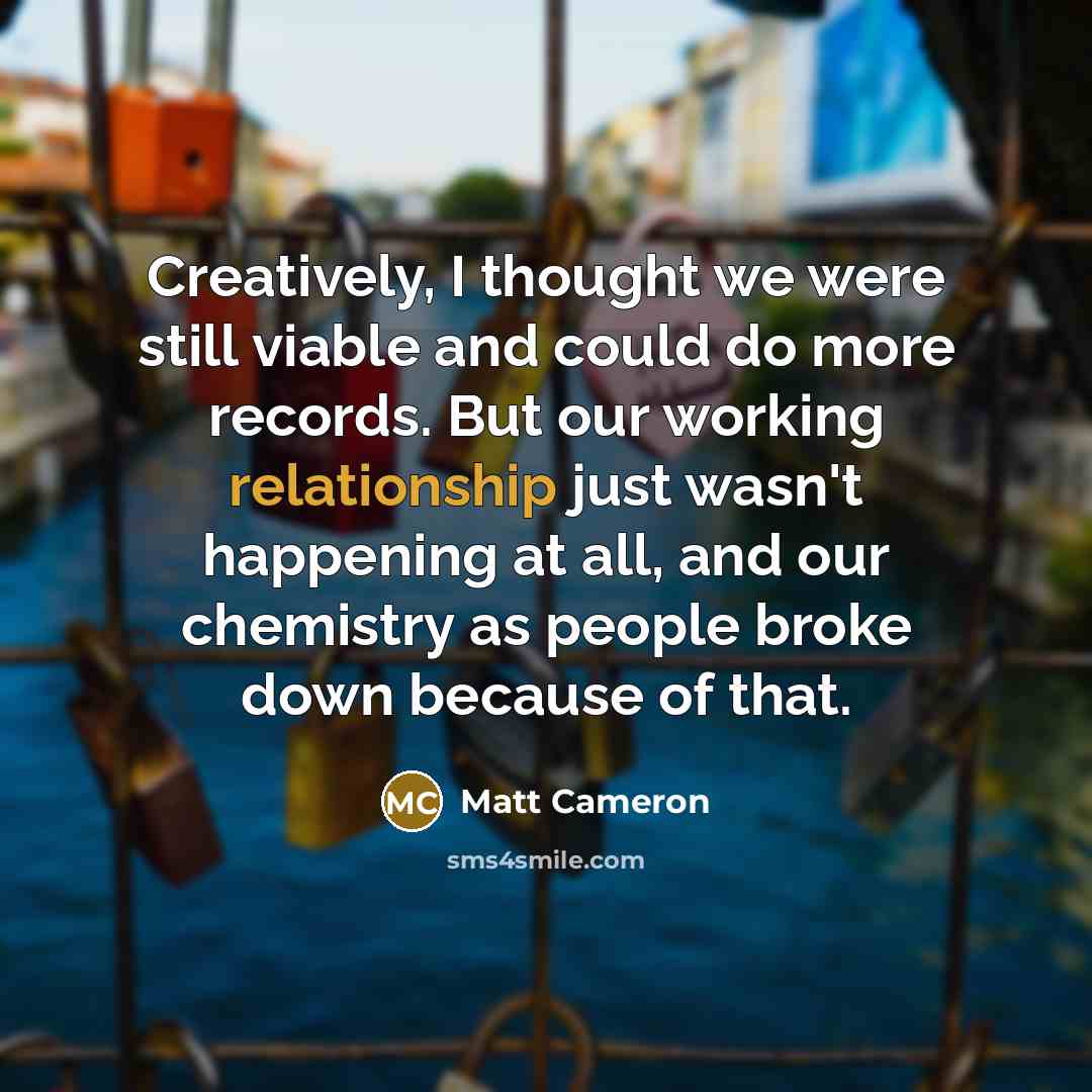 “Creatively, I thought we were still viable and could do more records. But our working relationship just wasn't happening at all, and our chemistry as people broke down because of that.” quote by Matt Cameron