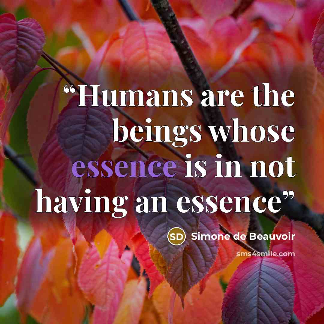 “Humans are the beings whose essence is in not having an essence” quote by Simone de Beauvoir