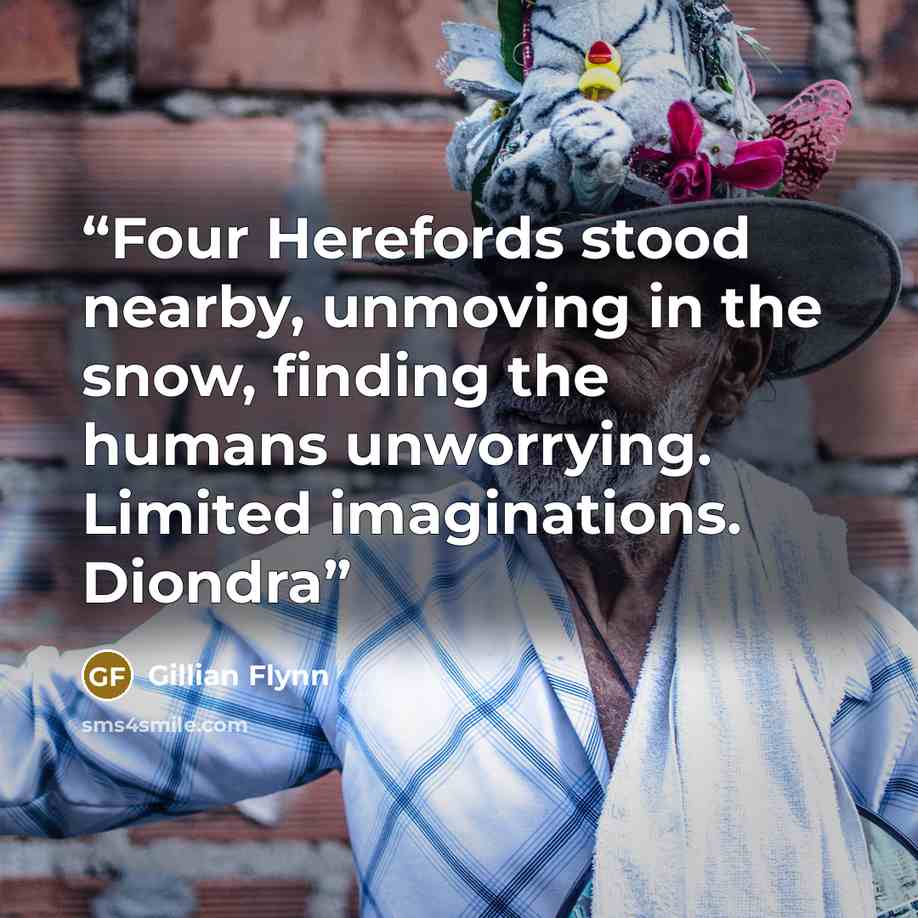 “Four Herefords stood nearby, unmoving in the snow, finding the humans unworrying. Limited imaginations. Diondra” quote by Gillian Flynn