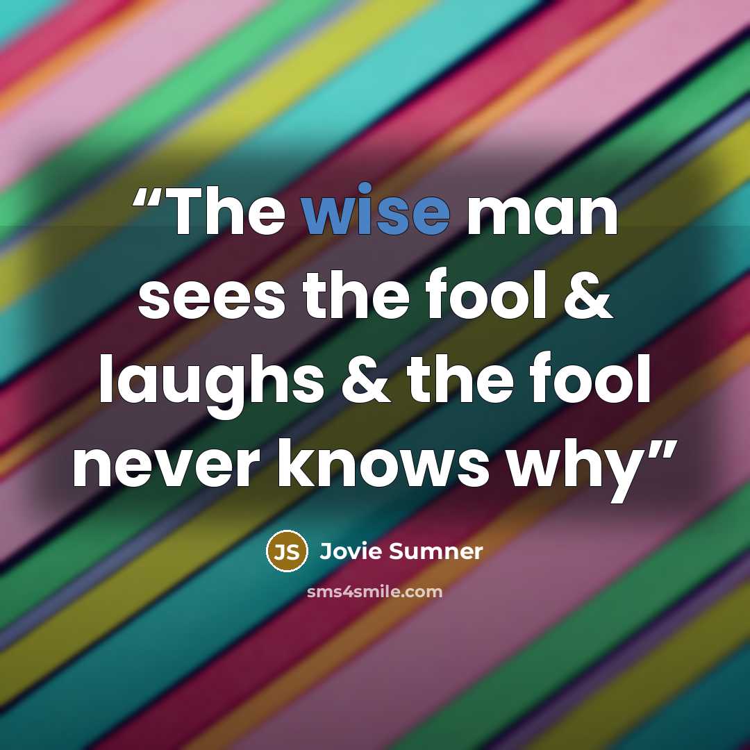 “The wise man sees the fool & laughs & the fool never knows why” quote by Jovie Sumner