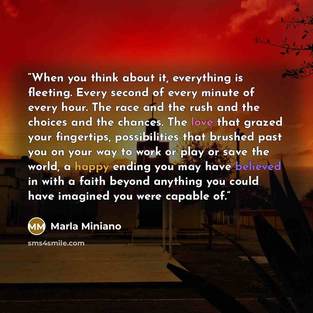 “When you think about it, everything is fleeting. Every second of every minute of every hour. The race and the rush and the choices and the chances. The love that grazed your fingertips, possibilities that brushed past you on your way to work or play or save the world, a happy ending you may have…” quote by Marla Miniano