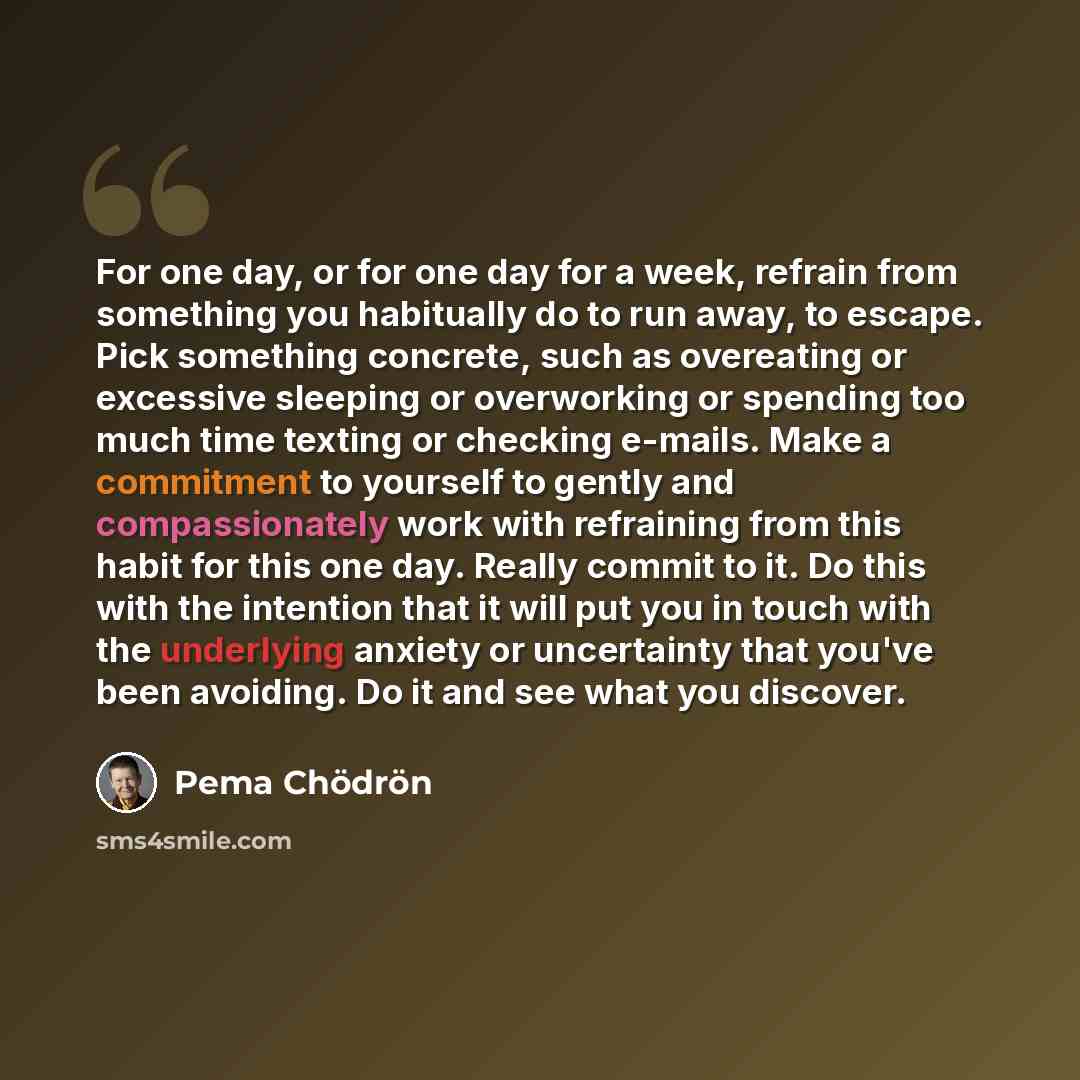 “For one day, or for one day for a week, refrain from something you habitually do to run away, to escape. Pick something concrete, such as overeating or excessive sleeping or overworking or spending too much time texting or checking e-mails. Make a commitment to yourself to gently and…” quote by Pema Chodron