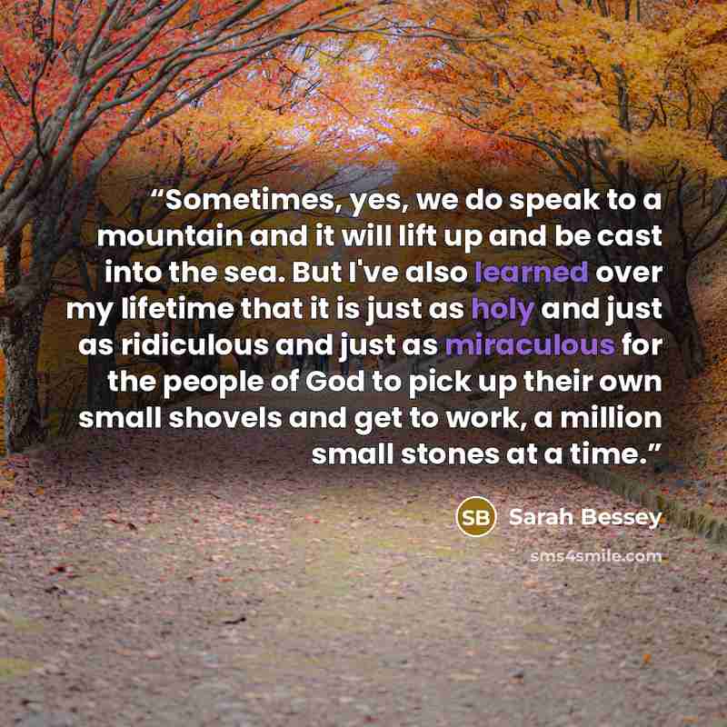 “Sometimes, yes, we do speak to a mountain and it will lift up and be cast into the sea. But I've also learned over my lifetime that it is just as holy and just as ridiculous and just as miraculous for the people of God to pick up their own small shovels and get to work, a million small stones at a…” quote by Sarah Bessey