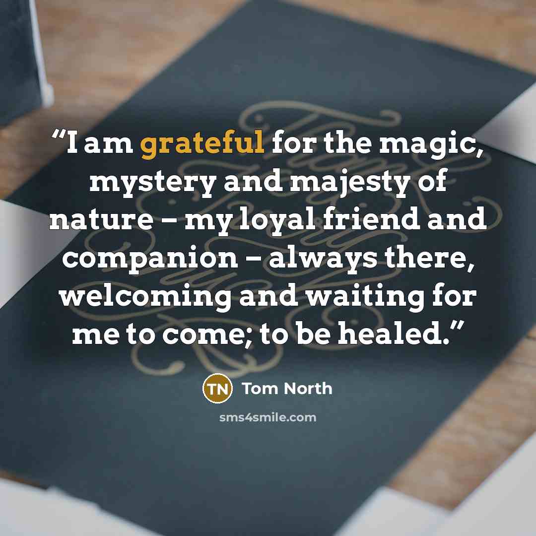 “I am grateful for the magic, mystery and majesty of nature – my loyal friend and companion – always there, welcoming and waiting for me to come; to be healed.” quote by Tom North