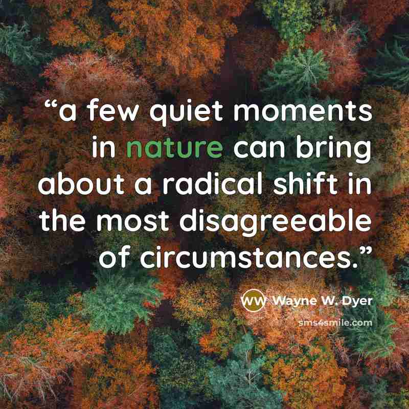 “a few quiet moments in nature can bring about a radical shift in the most disagreeable of circumstances.” quote by Wayne W. Dyer