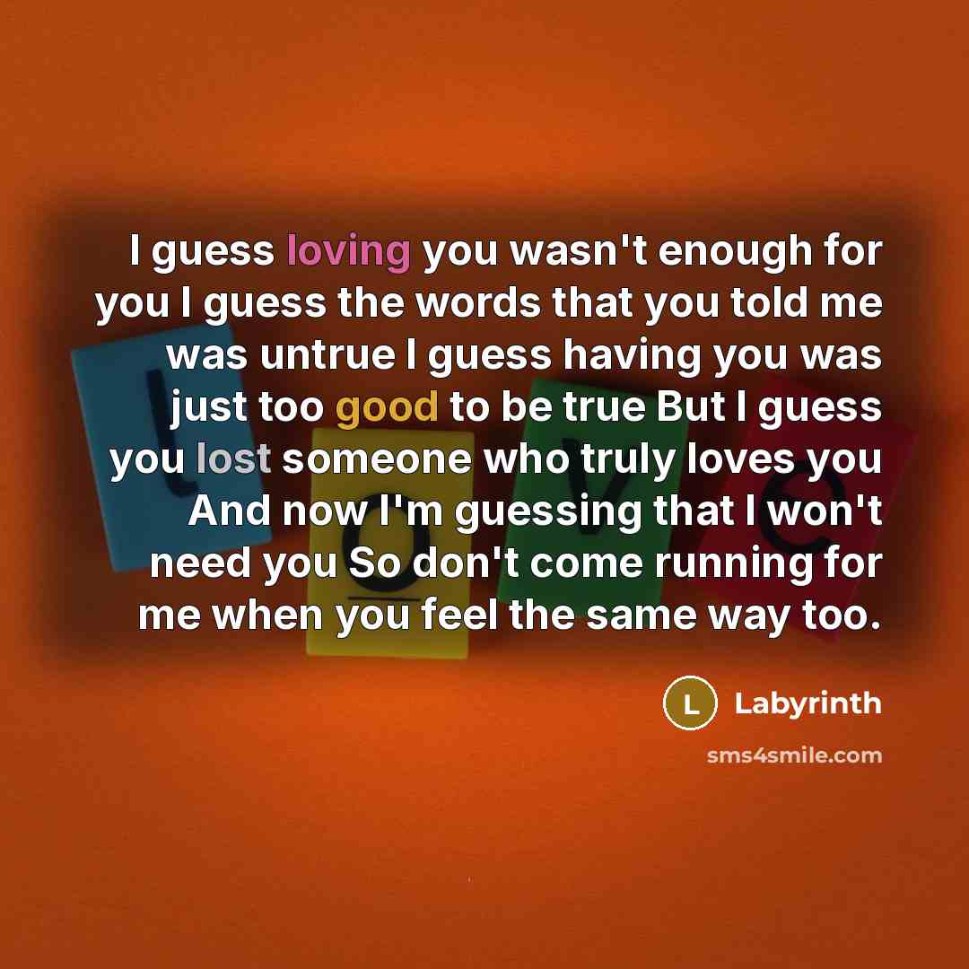 “I guess loving you wasn't enough for you I guess the words that you told me was untrue I guess having you was just too good to be true But I guess you lost someone who truly loves you And now I'm guessing that I won't need you So don't come running for me when you feel the same way too.” quote by Labyrinth