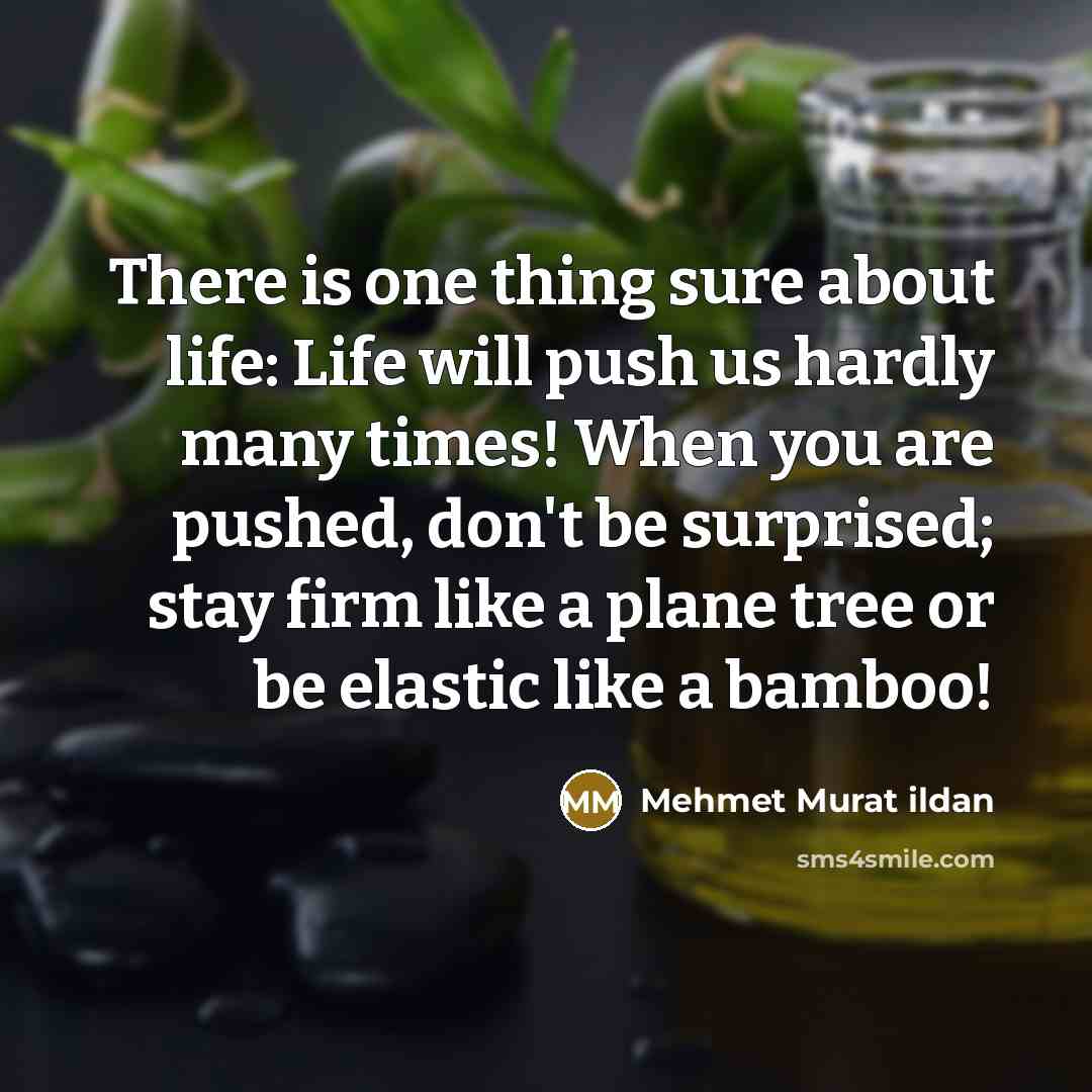 “There is one thing sure about life: Life will push us hardly many times! When you are pushed, don't be surprised; stay firm like a plane tree or be elastic like a bamboo!” quote by Mehmet Murat Ildan