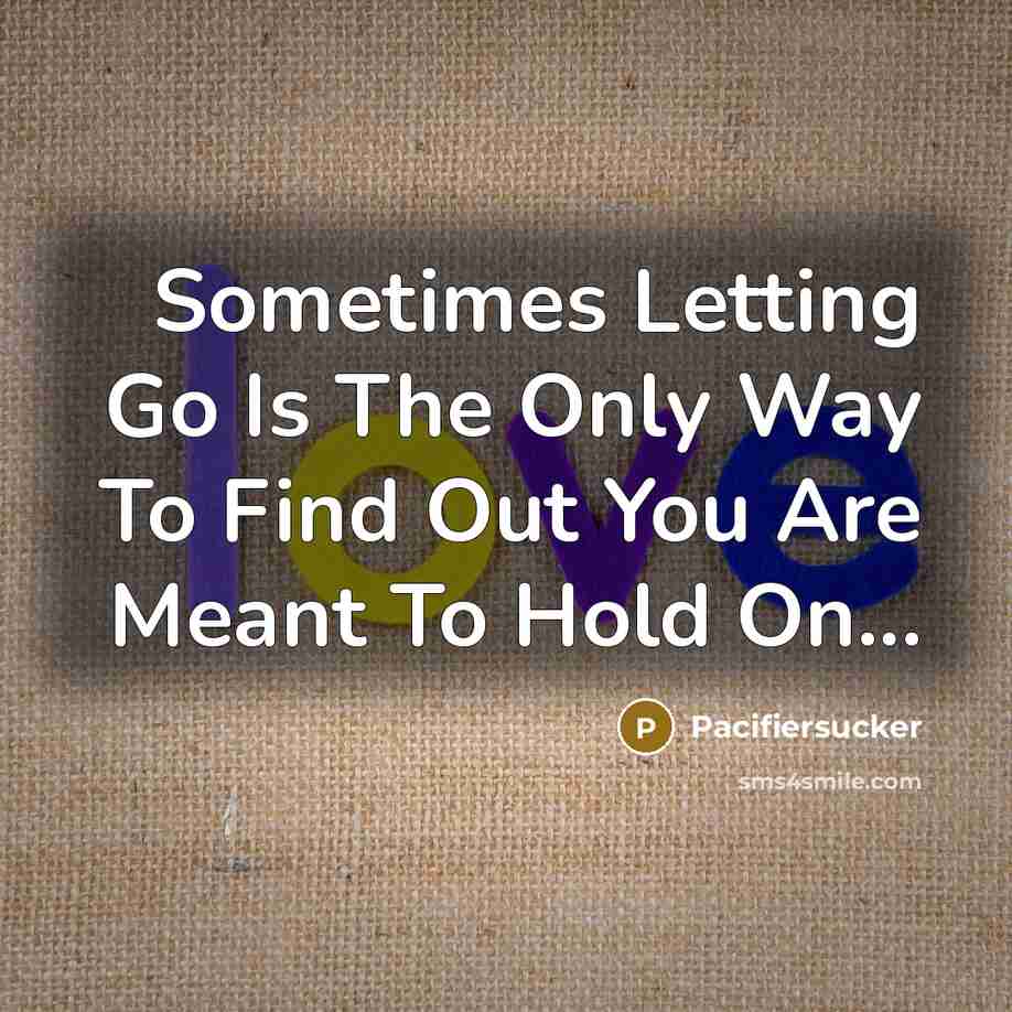 “Sometimes Letting Go Is The Only Way To Find Out You Are Meant To Hold On...” quote by Pacifiersucker
