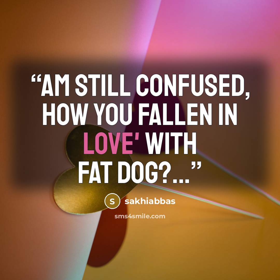 “am still confused, how you fallen in love' with fat dog?...” quote by sakhiabbas
