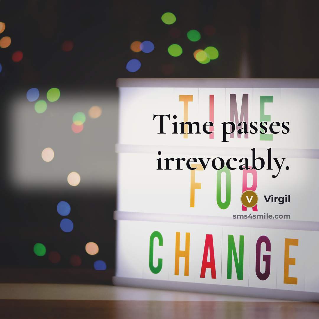 “Time passes irrevocably.” quote by Virgil