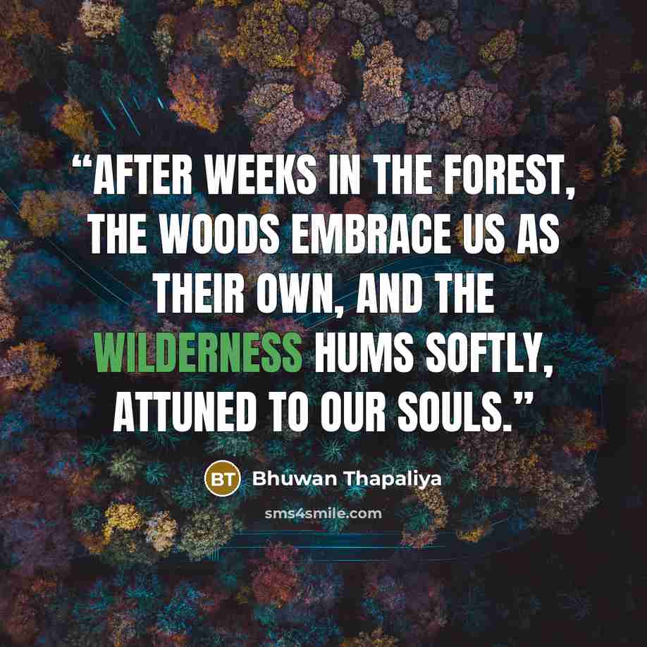 “After weeks in the forest, the woods embrace us as their own, and the wilderness hums softly, attuned to our souls.” quote by Bhuwan Thapaliya