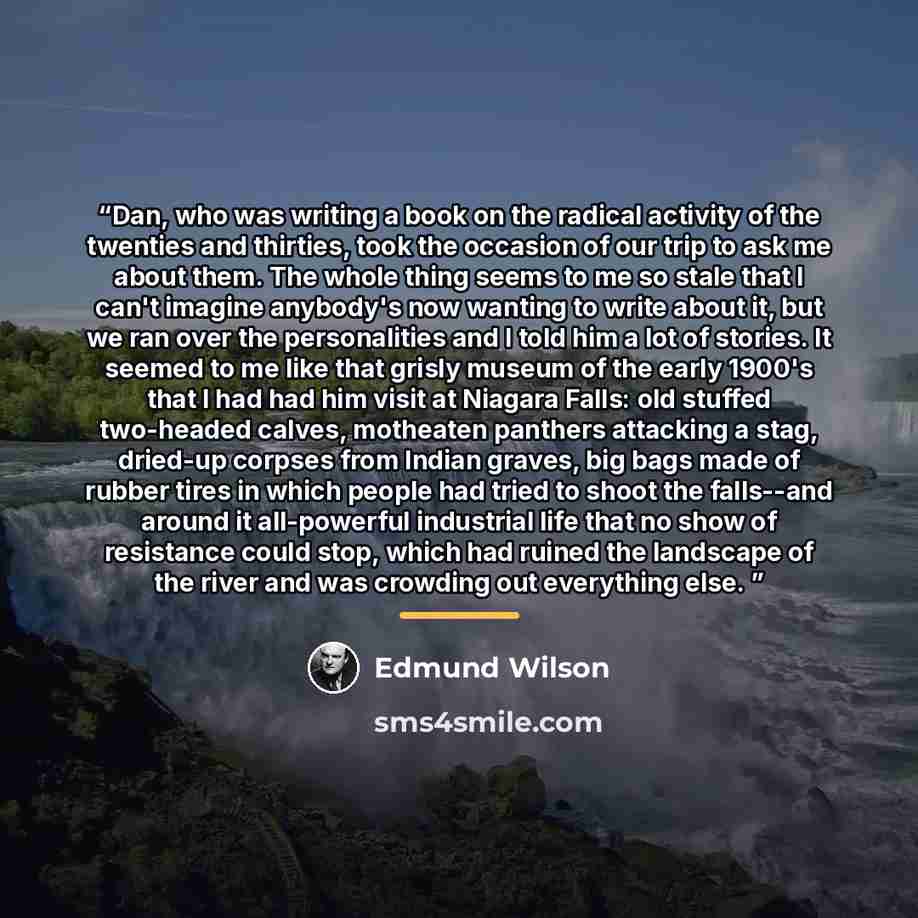 “Dan, who was writing a book on the radical activity of the twenties and thirties, took the occasion of our trip to ask me about them. The whole thing seems to me so stale that I can't imagine anybody's now wanting to write about it, but we ran over the personalities and I told him a lot of…” quote by Edmund Wilson