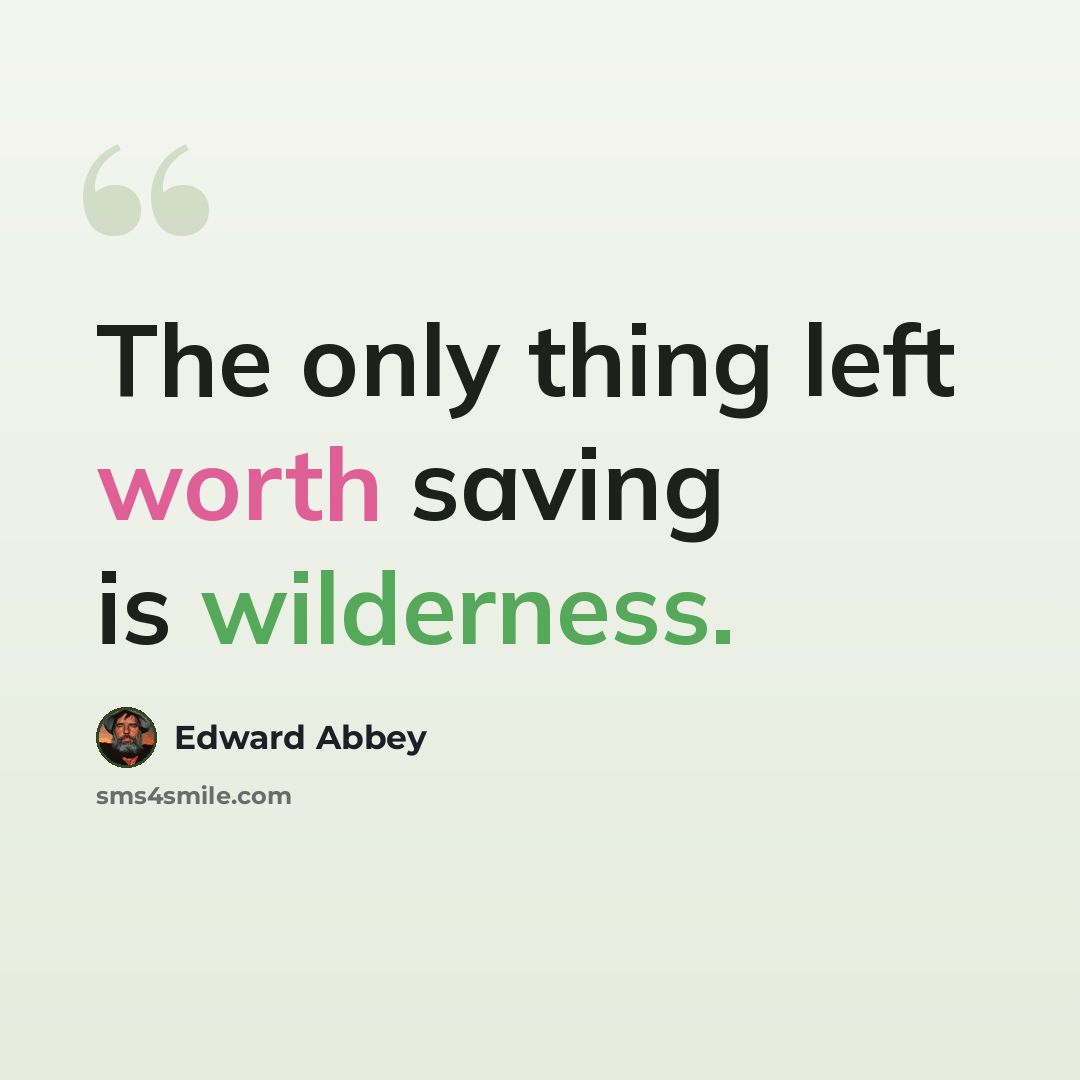 “The only thing left worth saving is wilderness.” quote by Edward Abbey