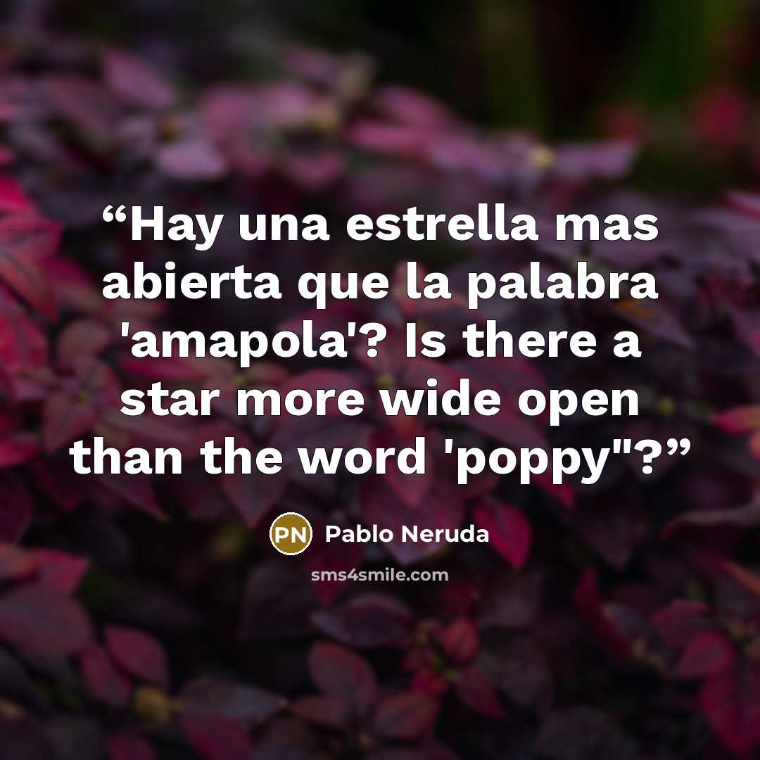 “Hay una estrella mas abierta que la palabra 'amapola'? Is there a star more wide open than the word 'poppy"?” quote by Pablo Neruda
