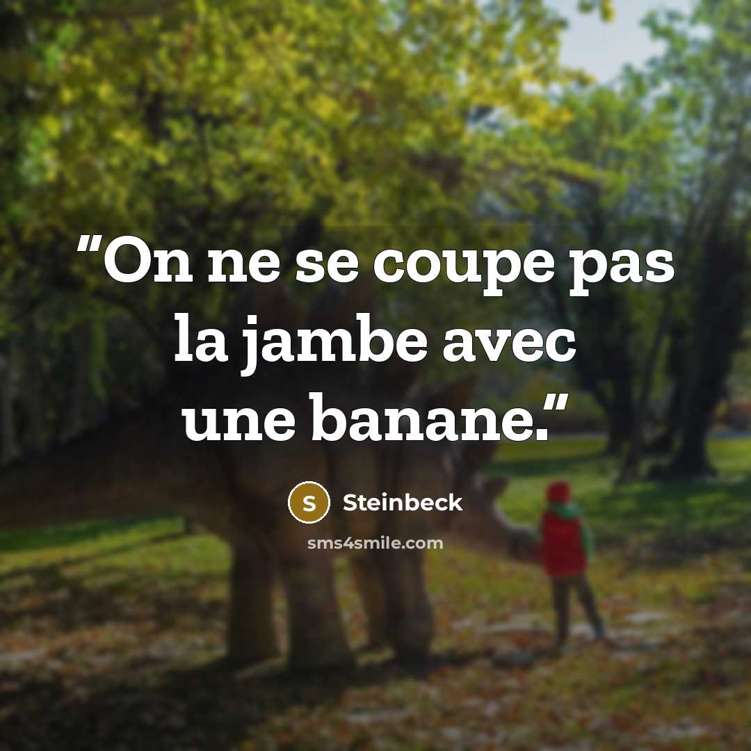 “On ne se coupe pas la jambe avec une banane.” quote by Steinbeck