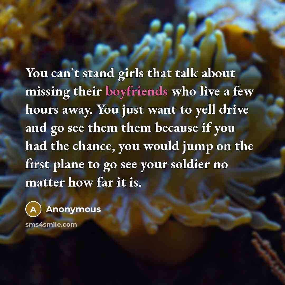 “You can't stand girls that talk about missing their boyfriends who live a few hours away. You just want to yell drive and go see them them because if you had the chance, you would jump on the first plane to go see your soldier no matter how far it is.” quote by Anonymous