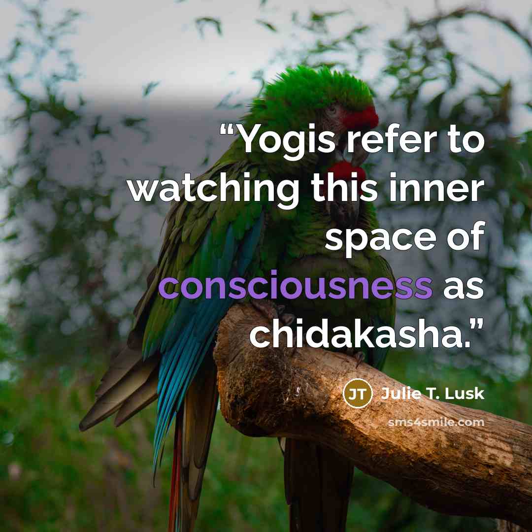“Yogis refer to watching this inner space of consciousness as chidakasha.” quote by Julie T. Lusk