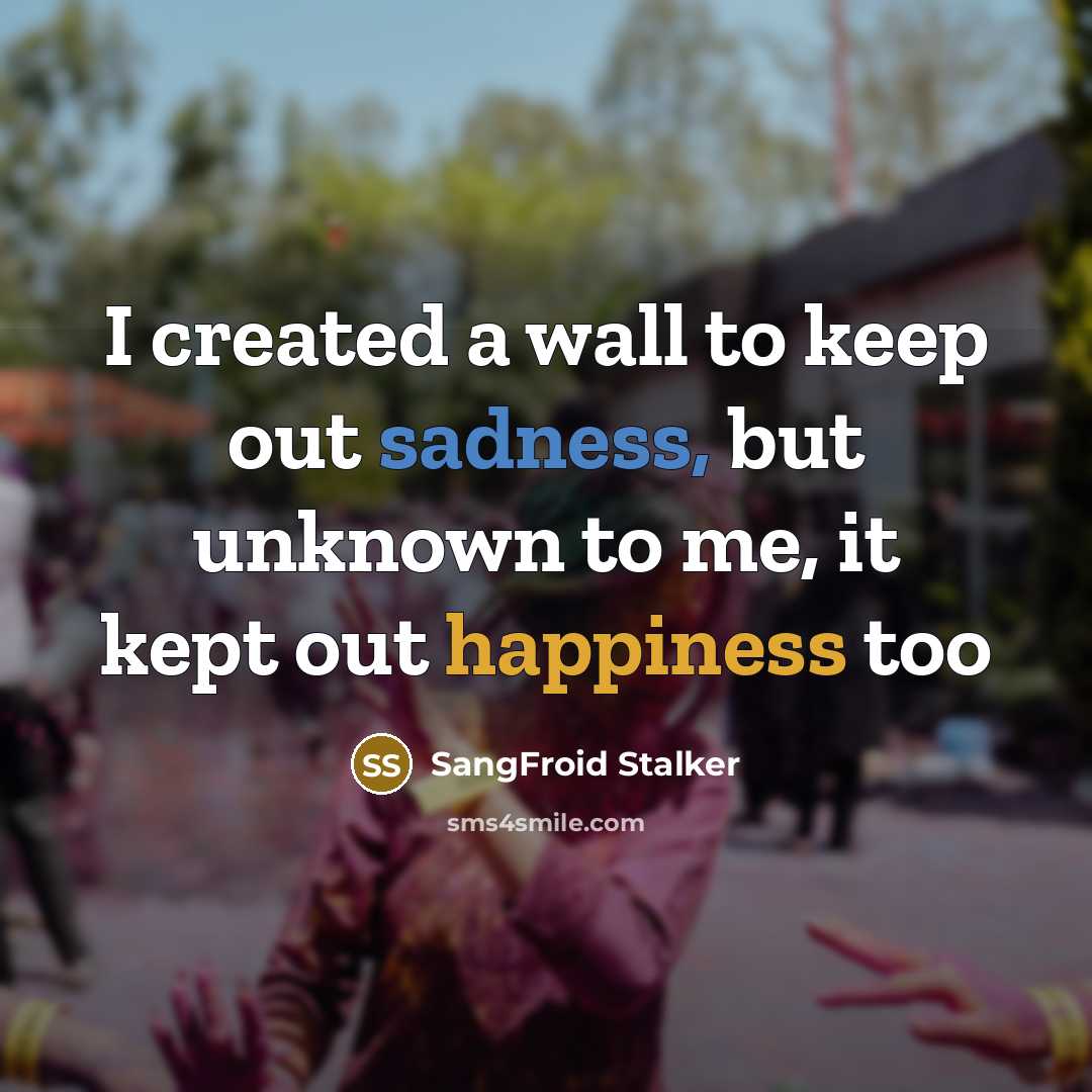 “I created a wall to keep out sadness, but unknown to me, it kept out happiness too” quote by SangFroid Stalker