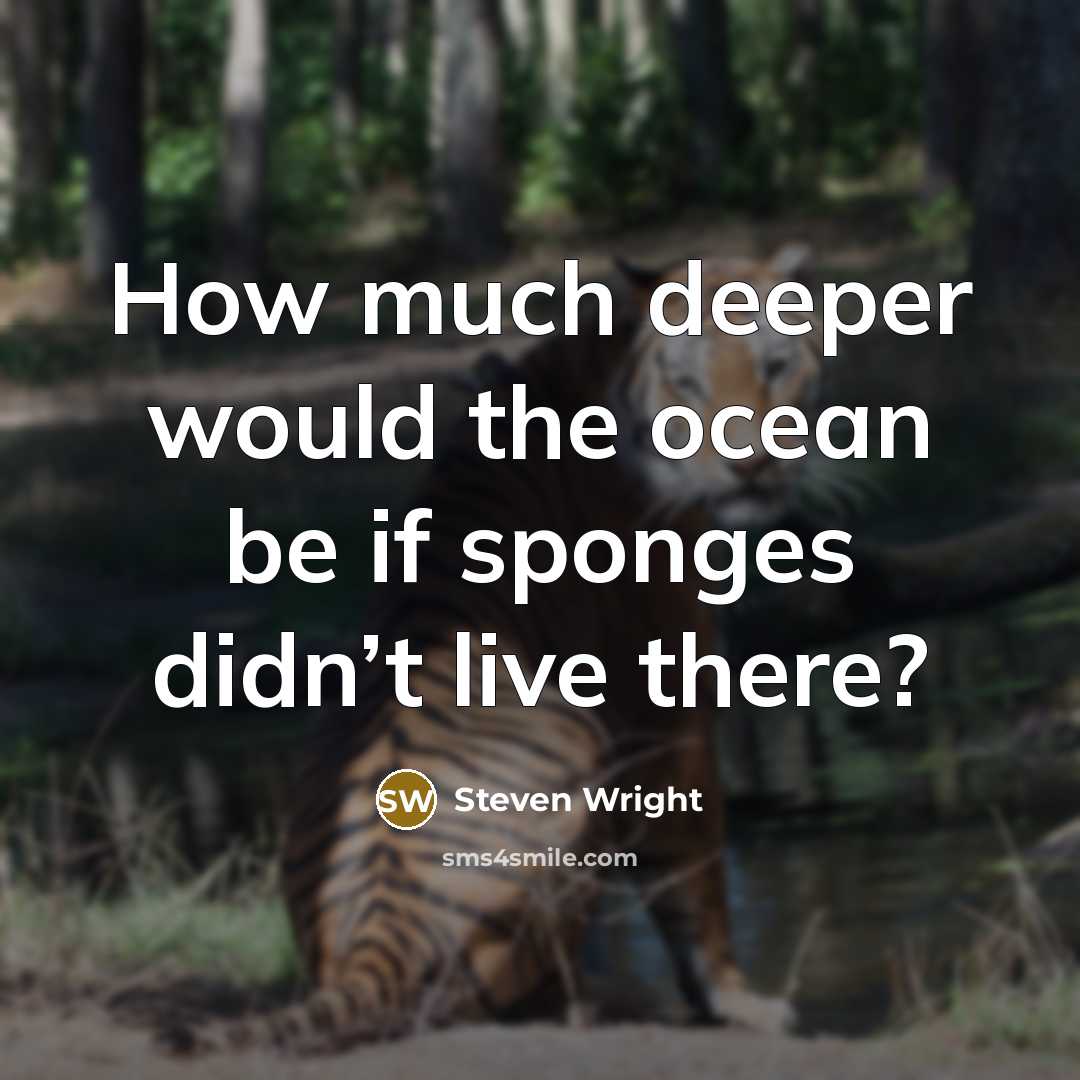 “How much deeper would the ocean be if sponges didn’t live there?” quote by Steven Wright