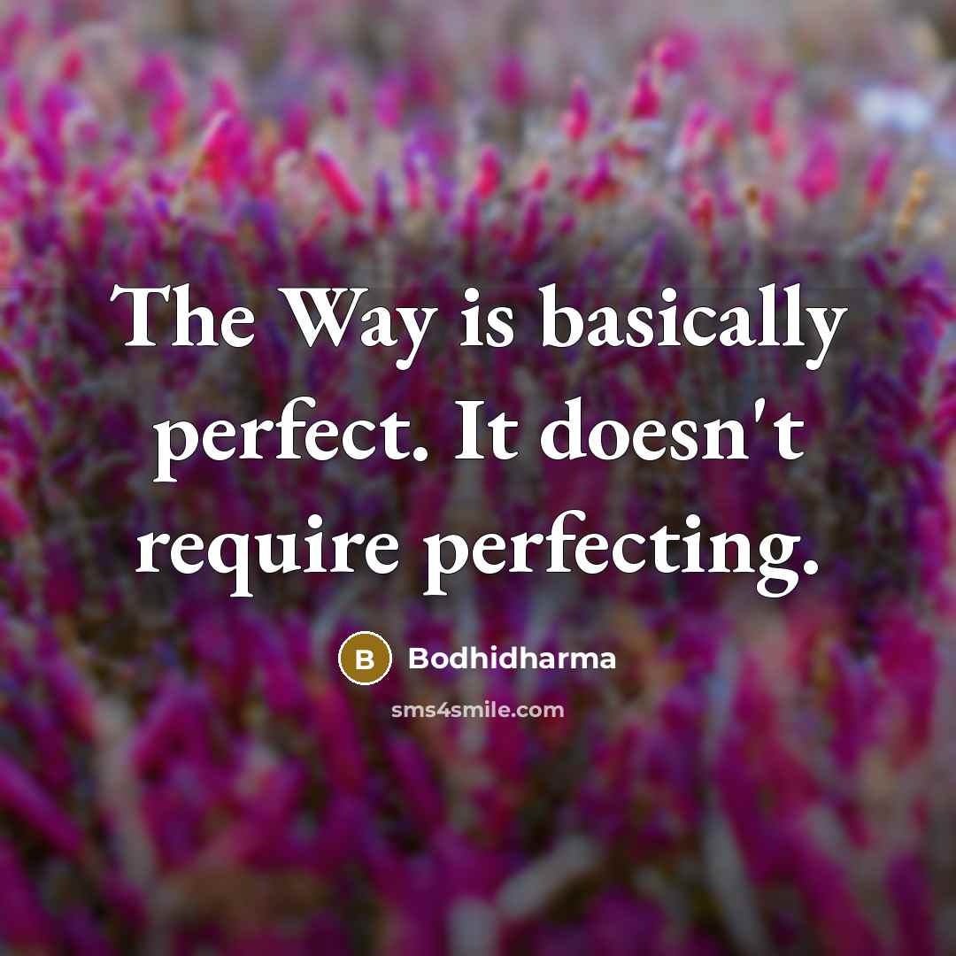 “The Way is basically perfect. It doesn't require perfecting.” quote by Bodhidharma