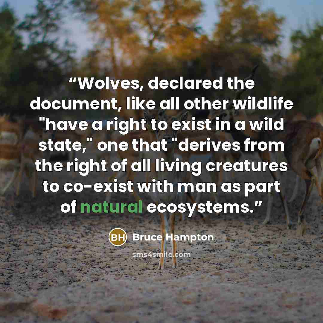 “Wolves, declared the document, like all other wildlife "have a right to exist in a wild state," one that "derives from the right of all living creatures to co-exist with man as part of natural ecosystems.” quote by Bruce Hampton