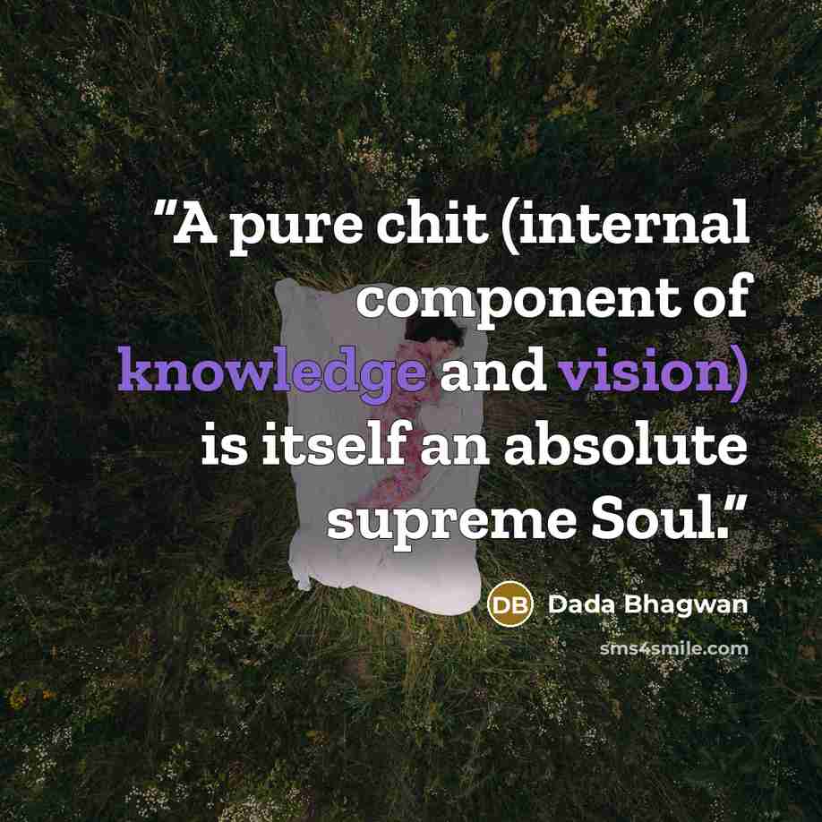 “A pure chit (internal component of knowledge and vision) is itself an absolute supreme Soul.” quote by Dada Bhagwan