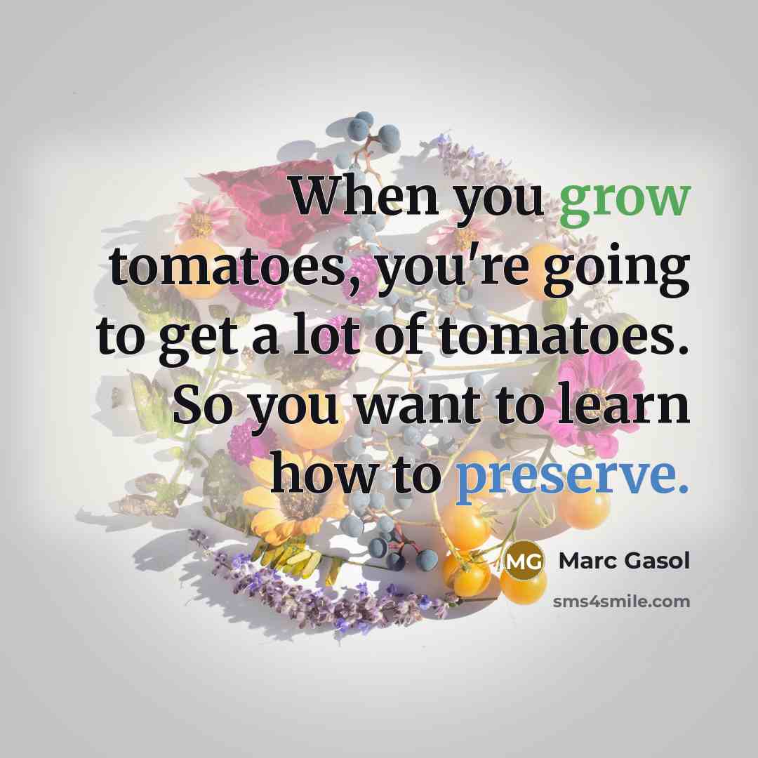 “When you grow tomatoes, you're going to get a lot of tomatoes. So you want to learn how to preserve.” quote by Marc Gasol