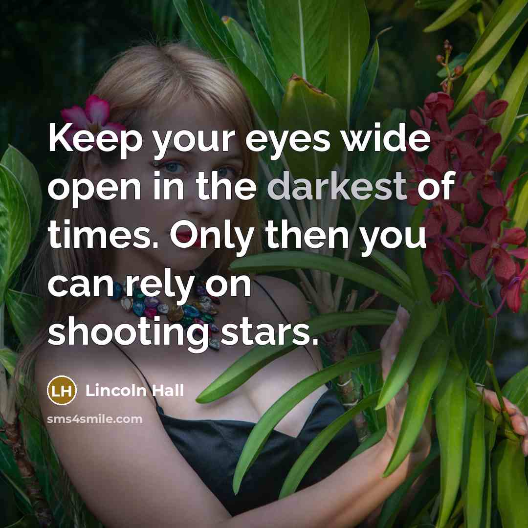 “Keep your eyes wide open in the darkest of times. Only then you can rely on shooting stars.” quote by Lincoln Hall