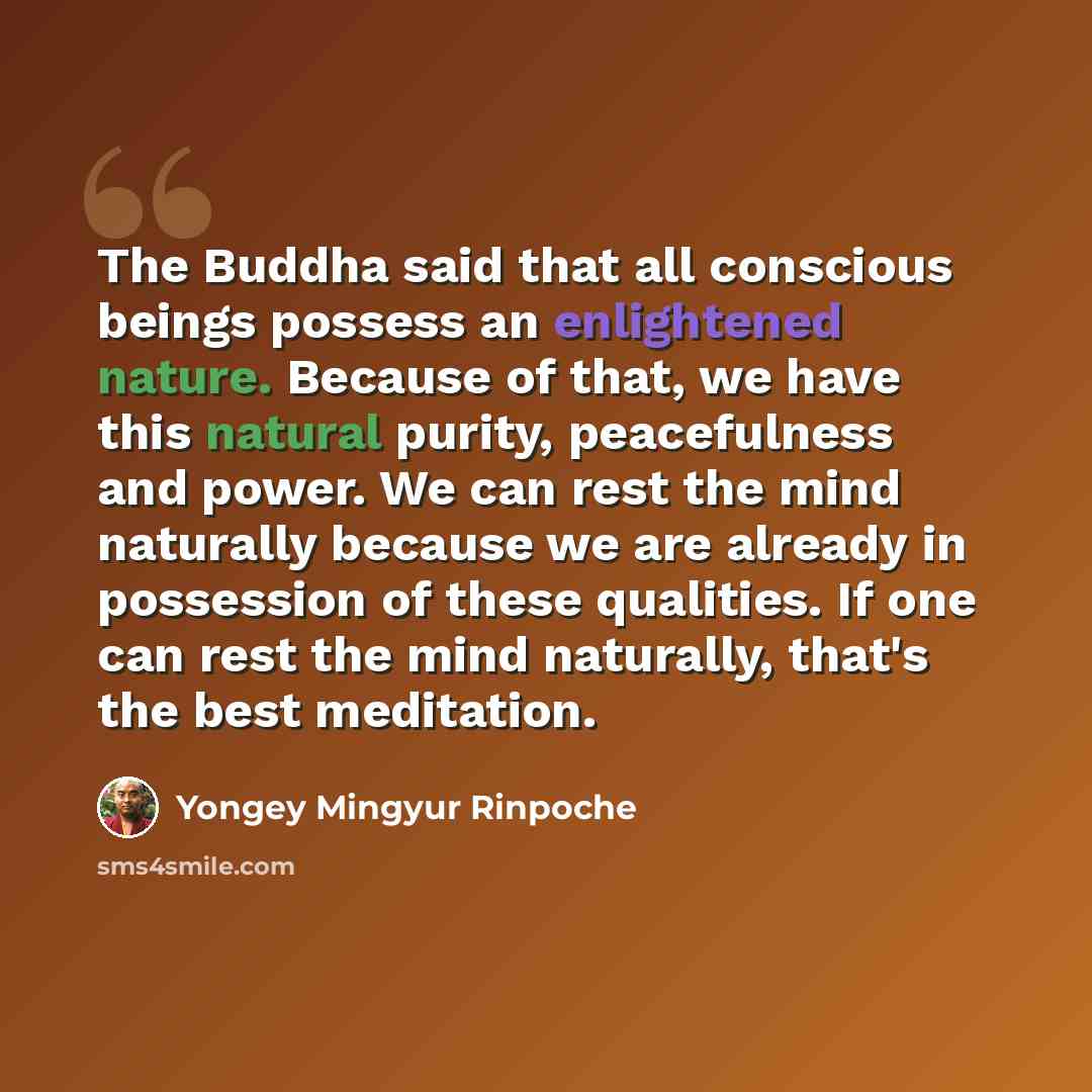 “The Buddha said that all conscious beings possess an enlightened nature. Because of that, we have this natural purity, peacefulness and power. We can rest the mind naturally because we are already in possession of these qualities. If one can rest the mind naturally, that's the best meditation.” quote by Yongey Mingyur Rinpoche