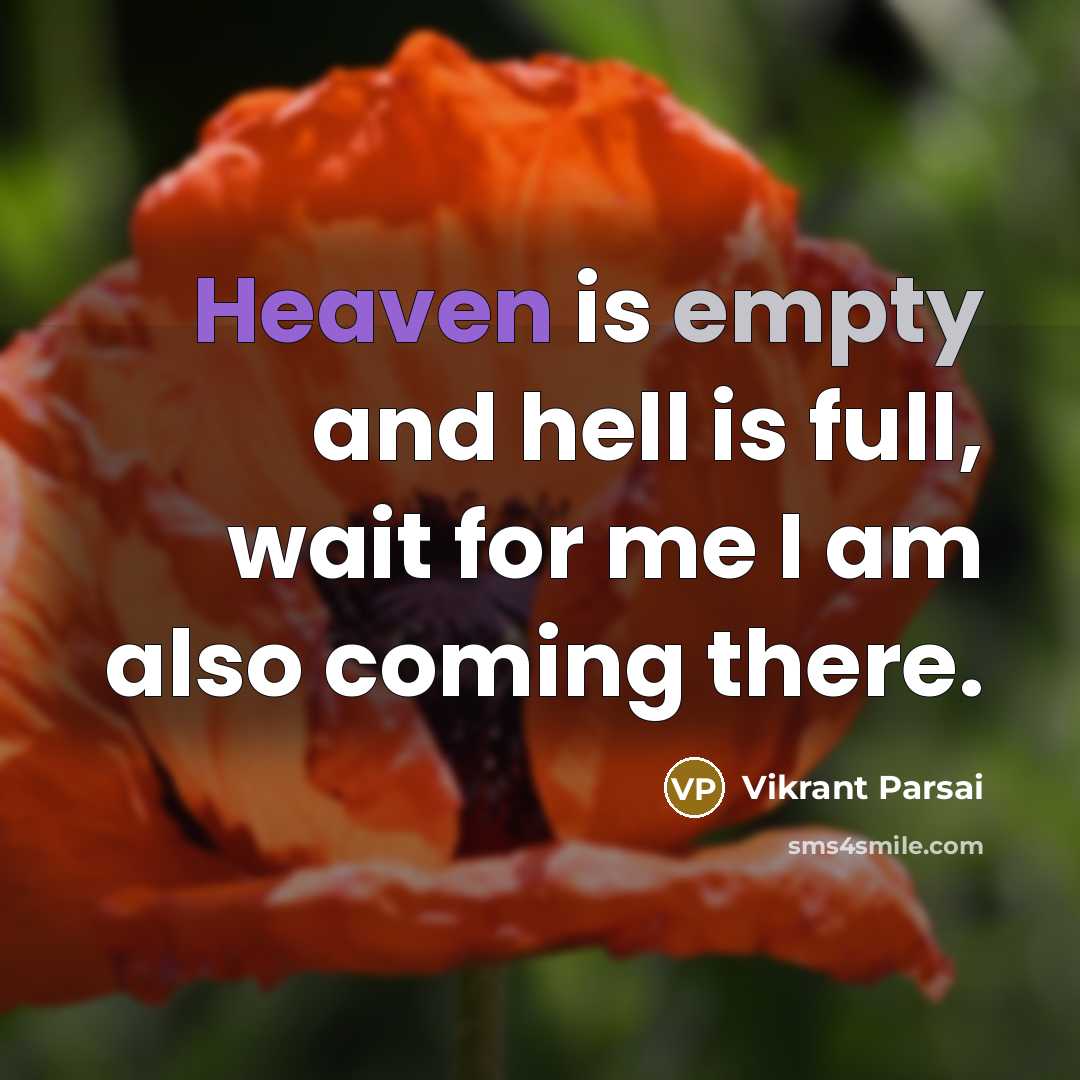 “Heaven is empty and hell is full, wait for me I am also coming there.” quote by Vikrant Parsai