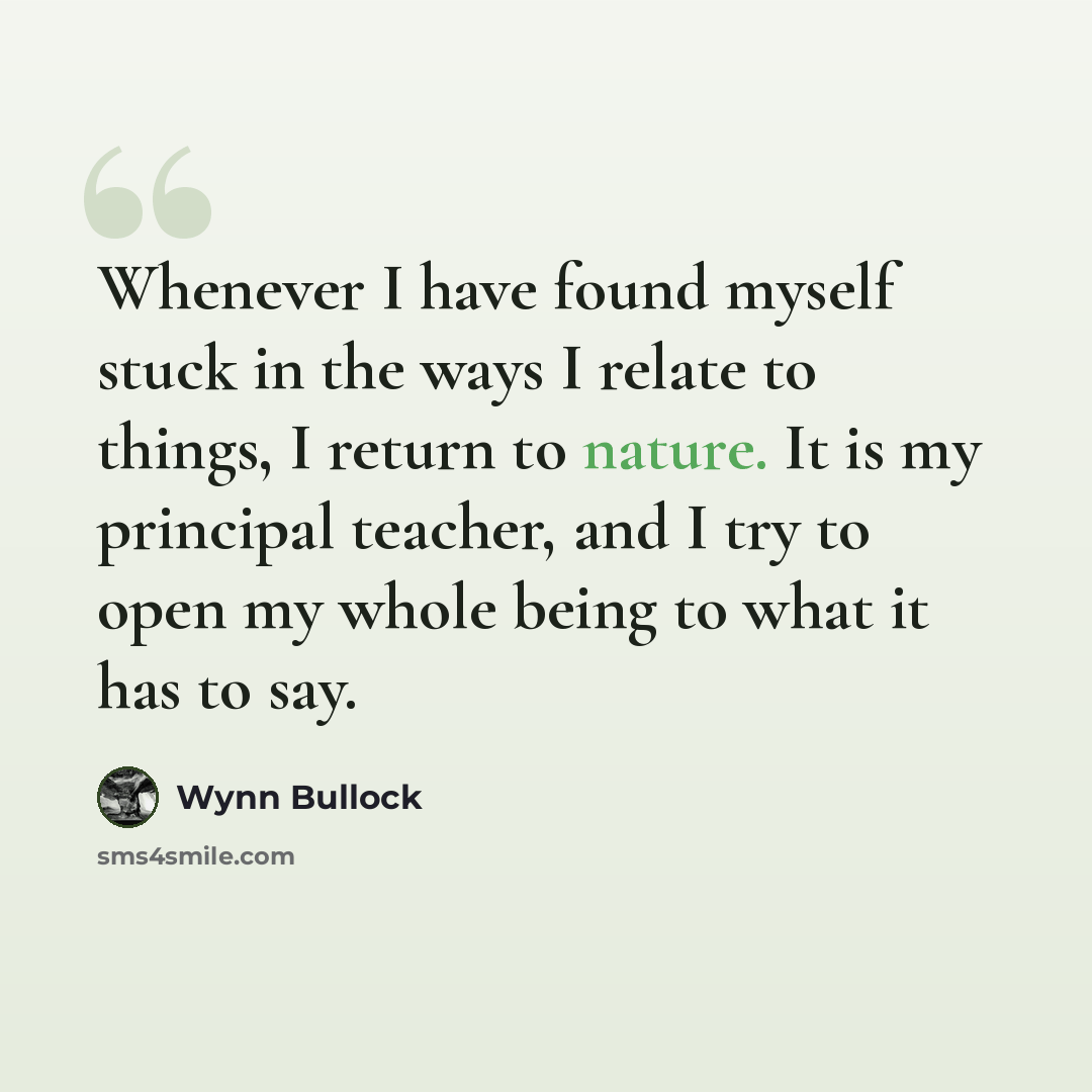 “Whenever I have found myself stuck in the ways I relate to things, I return to nature. It is my principal teacher, and I try to open my whole being to what it has to say.” quote by Wynn Bullock