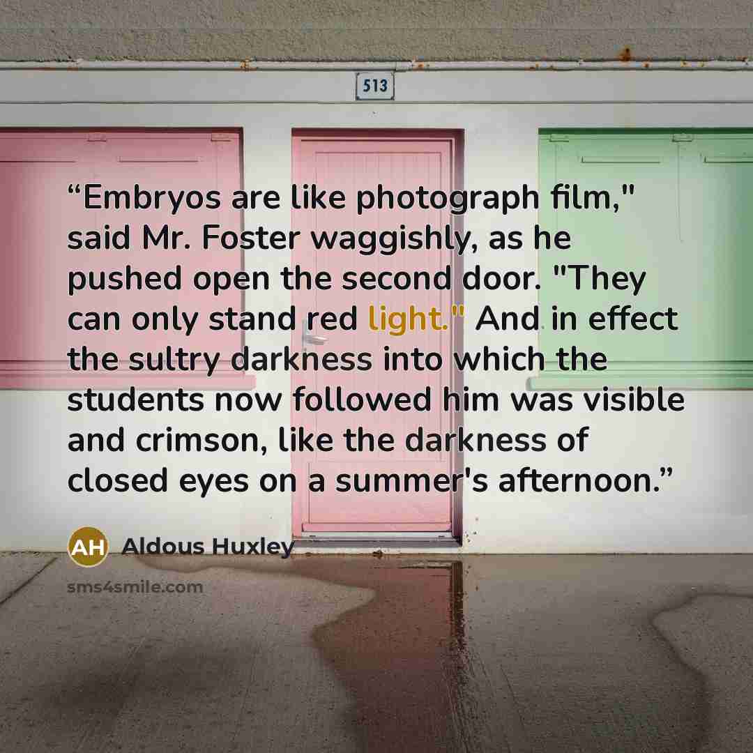 “Embryos are like photograph film," said Mr. Foster waggishly, as he pushed open the second door. "They can only stand red light." And in effect the sultry darkness into which the students now followed him was visible and crimson, like the darkness of closed eyes on a summer's afternoon.” quote by Aldous Huxley