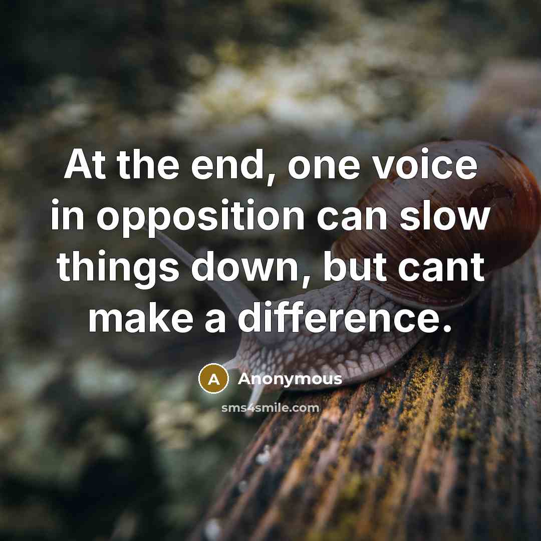 “At the end, one voice in opposition can slow things down, but cant make a difference.” quote by Anonymous