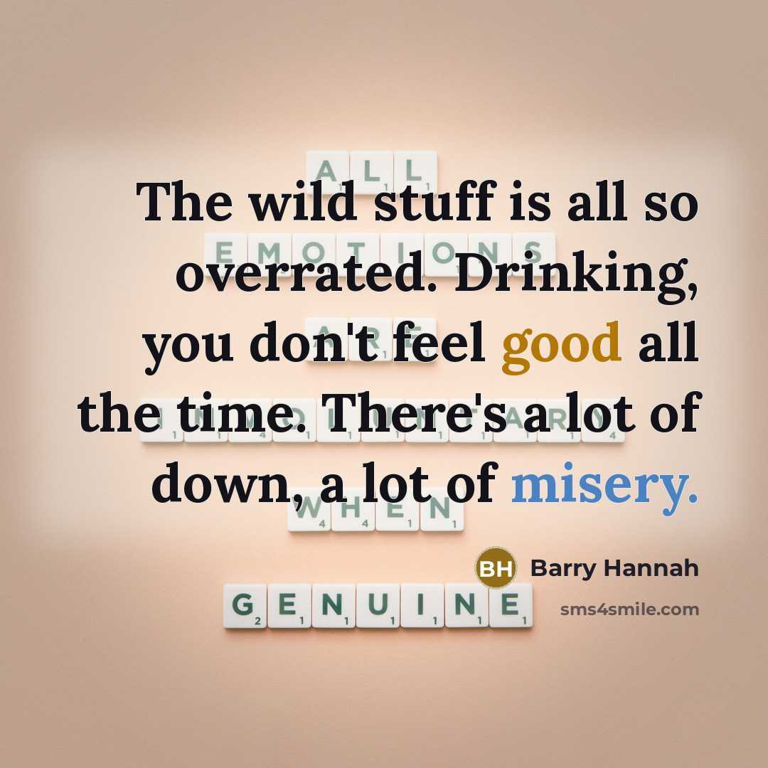 “The wild stuff is all so overrated. Drinking, you don't feel good all the time. There's a lot of down, a lot of misery.” quote by Barry Hannah