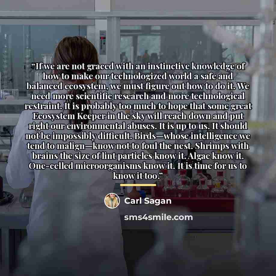 “If we are not graced with an instinctive knowledge of how to make our technologized world a safe and balanced ecosystem, we must figure out how to do it. We need more scientific research and more technological restraint. It is probably too much to hope that some great Ecosystem Keeper in the sky…” quote by Carl Sagan