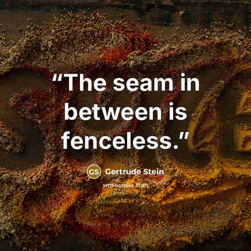 “The seam in between is fenceless.” quote by Gertrude Stein