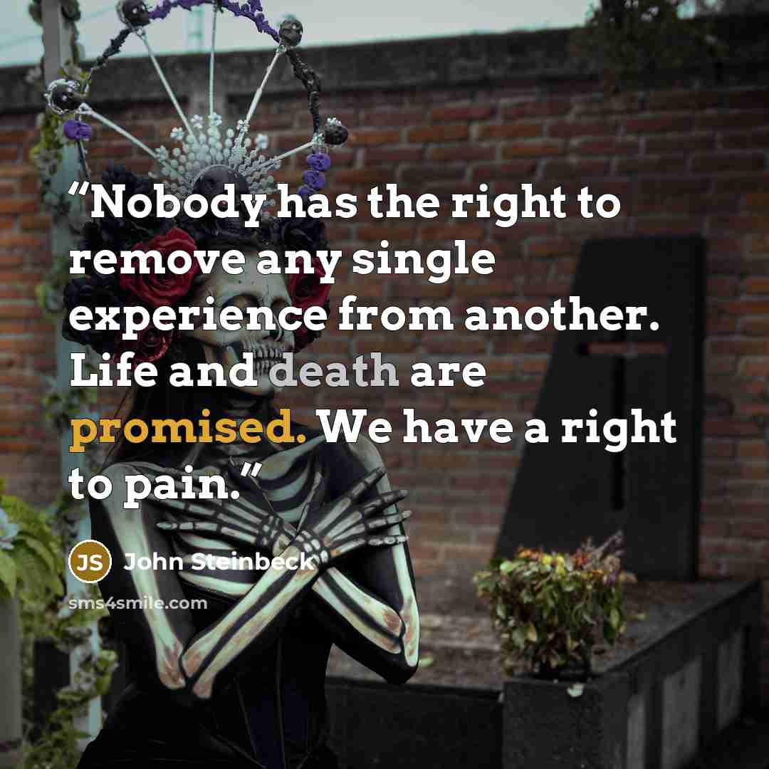 “Nobody has the right to remove any single experience from another. Life and death are promised. We have a right to pain.” quote by John Steinbeck
