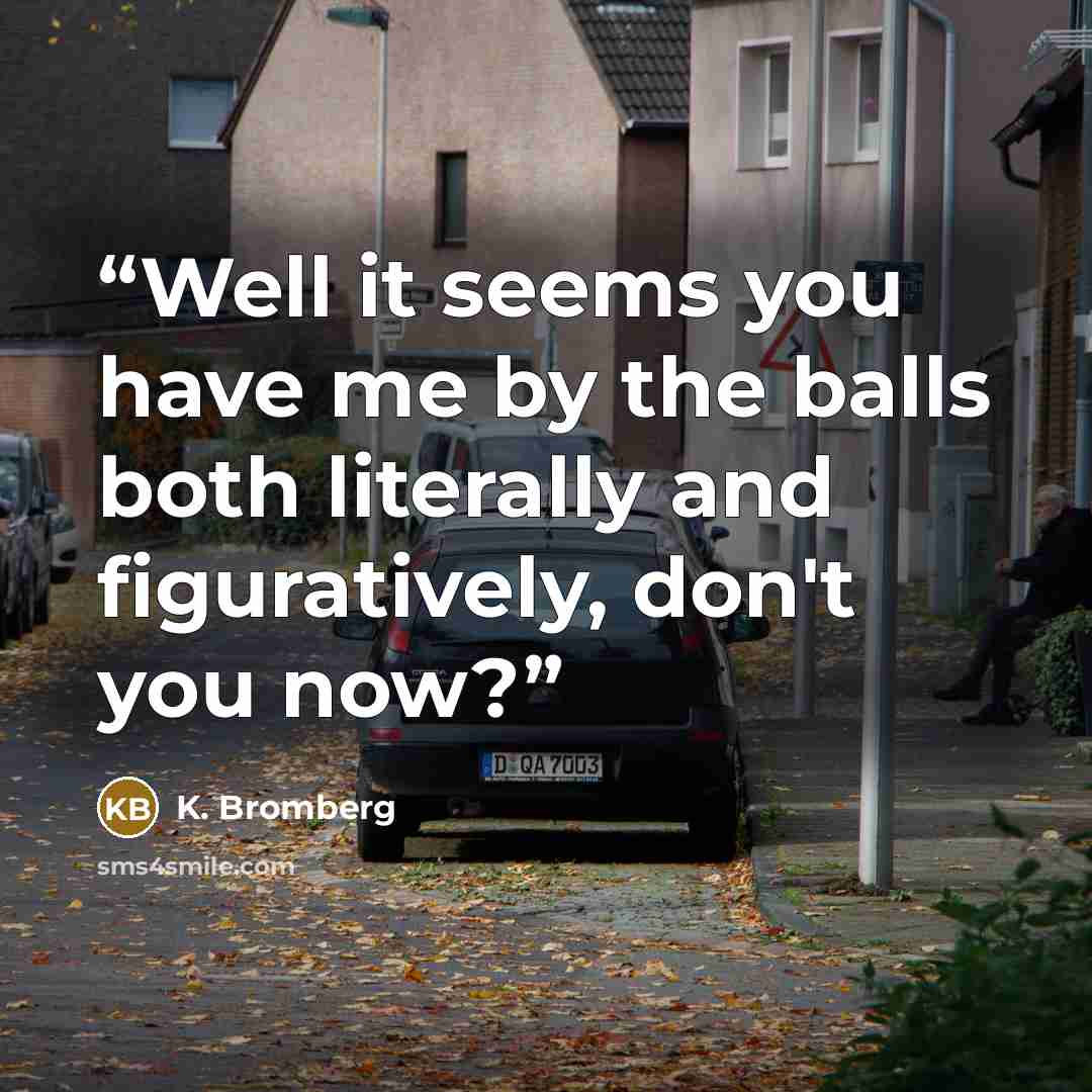 “Well it seems you have me by the balls both literally and figuratively, don't you now?” quote by K. Bromberg