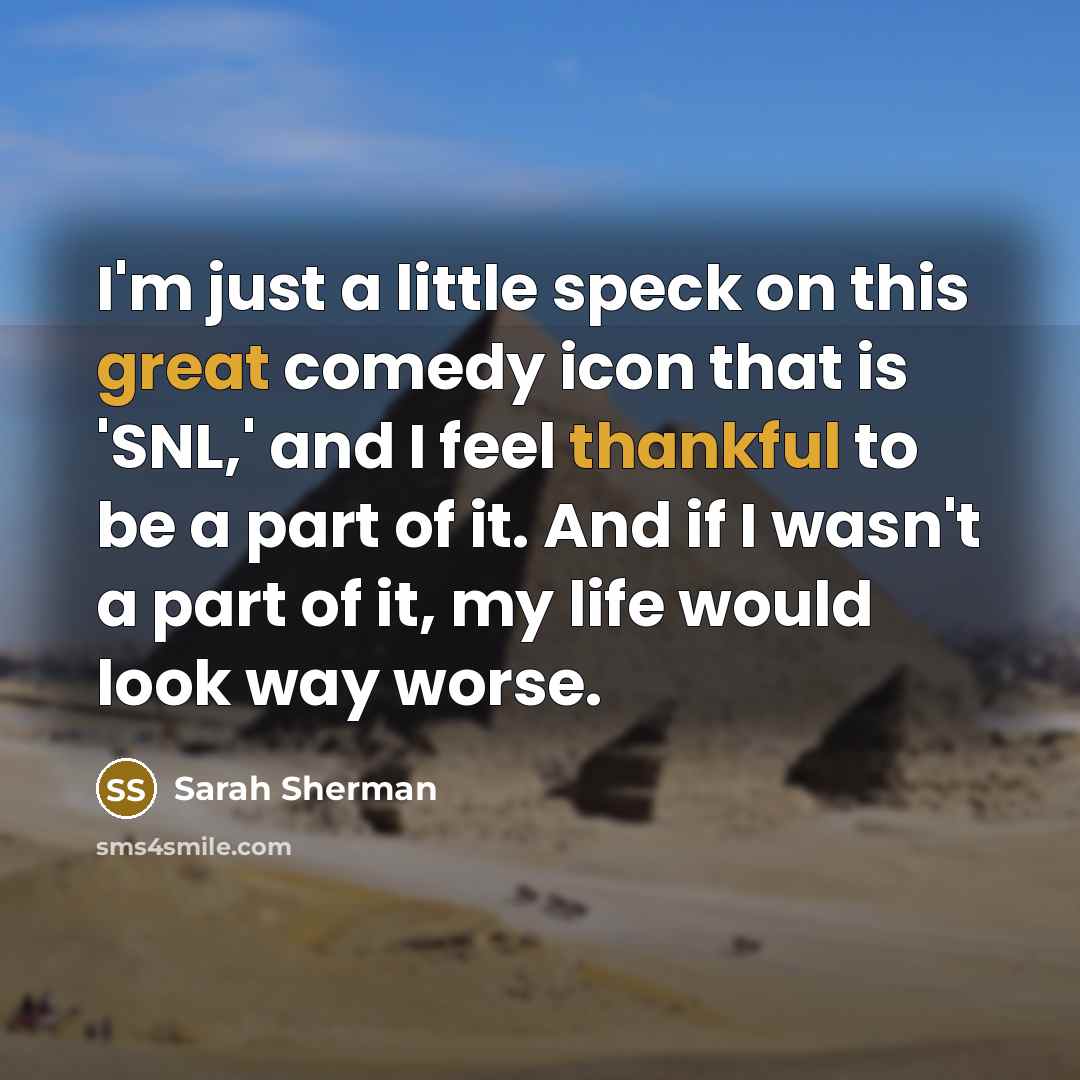 “I'm just a little speck on this great comedy icon that is 'SNL,' and I feel thankful to be a part of it. And if I wasn't a part of it, my life would look way worse.” quote by Sarah Sherman