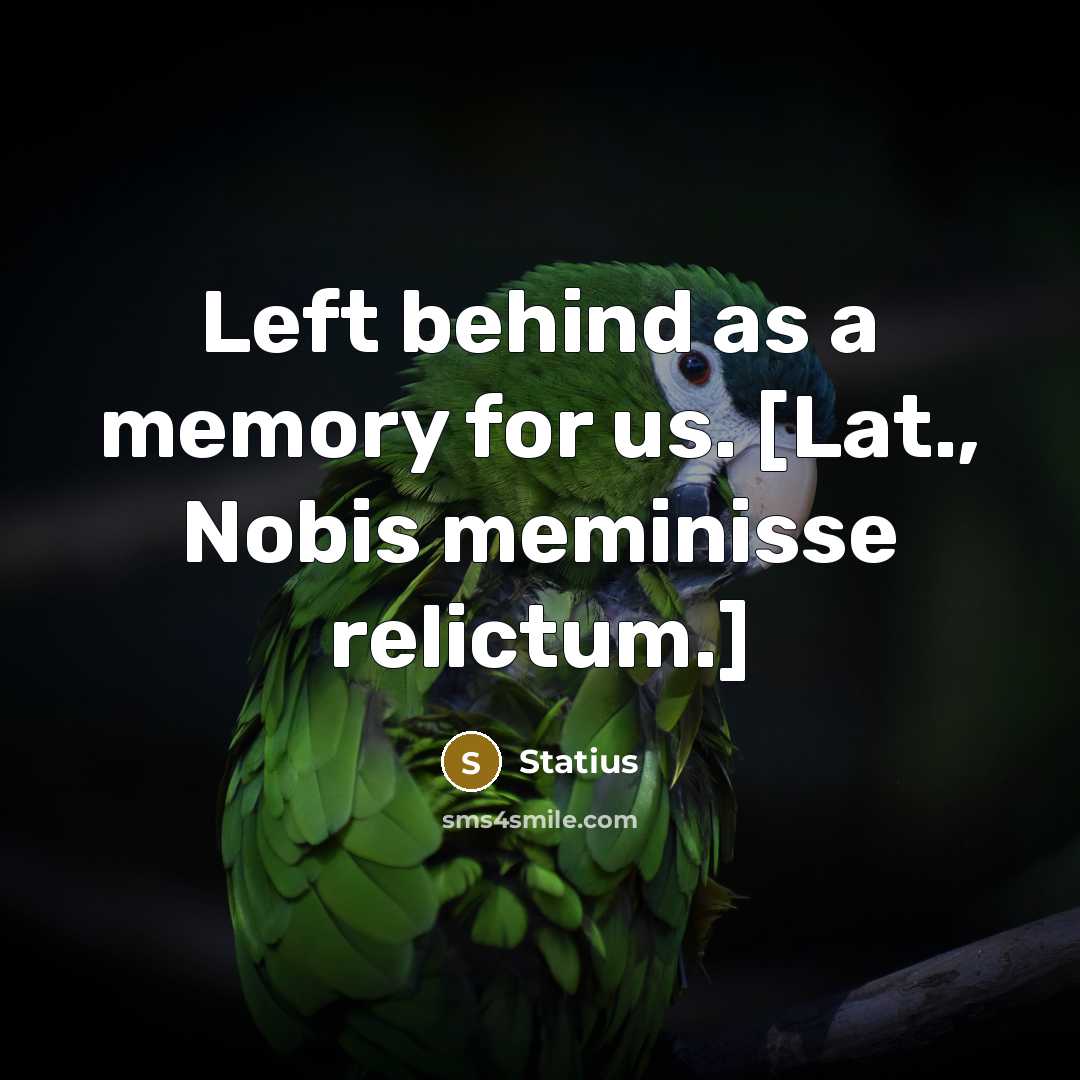 “Left behind as a memory for us. [Lat., Nobis meminisse relictum.]” quote by Statius