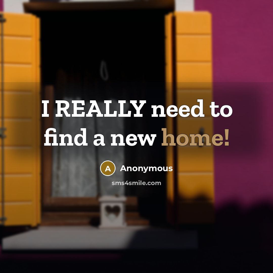 “I REALLY need to find a new home!” quote by Anonymous