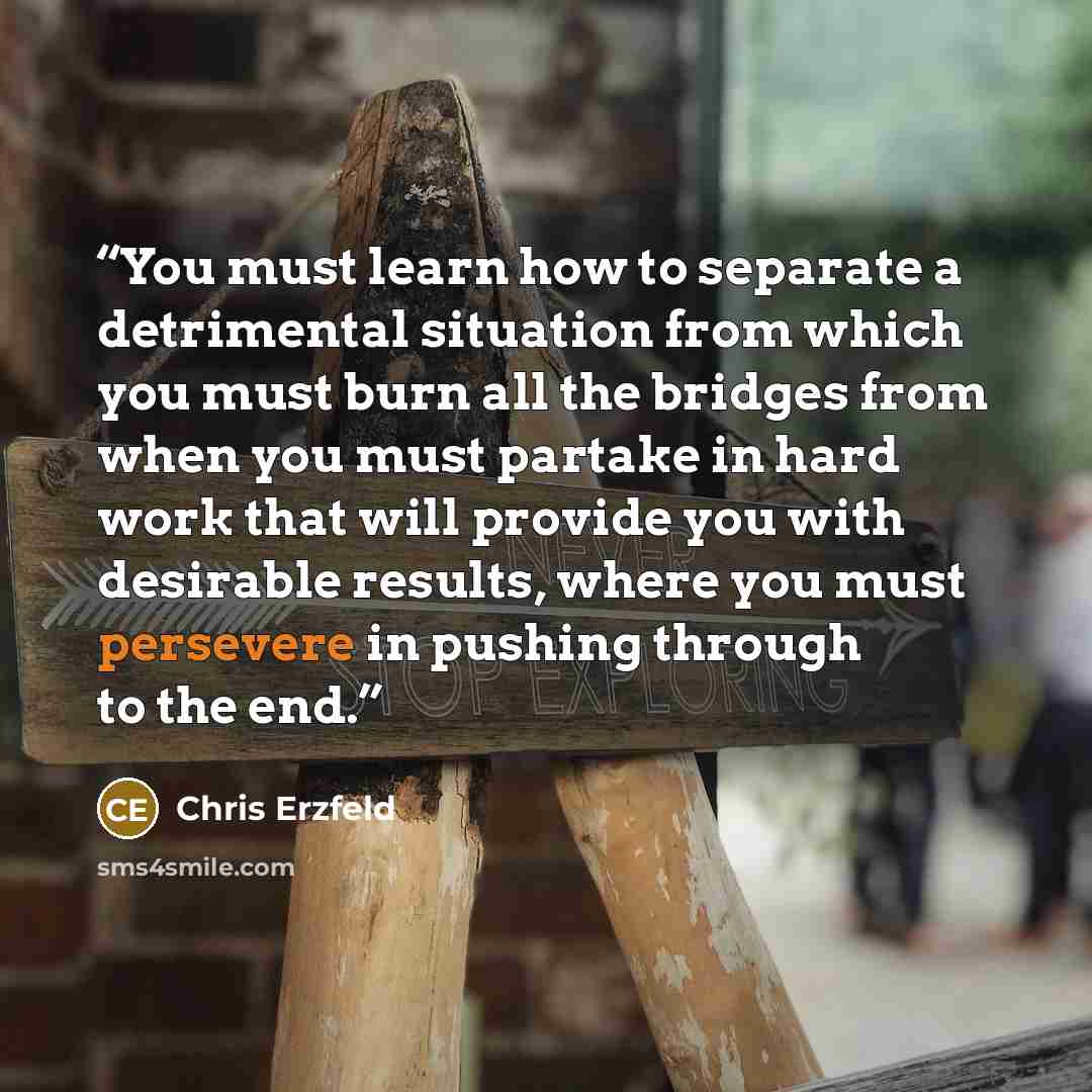 “You must learn how to separate a detrimental situation from which you must burn all the bridges from when you must partake in hard work that will provide you with desirable results, where you must persevere in pushing through to the end.” quote by Chris Erzfeld