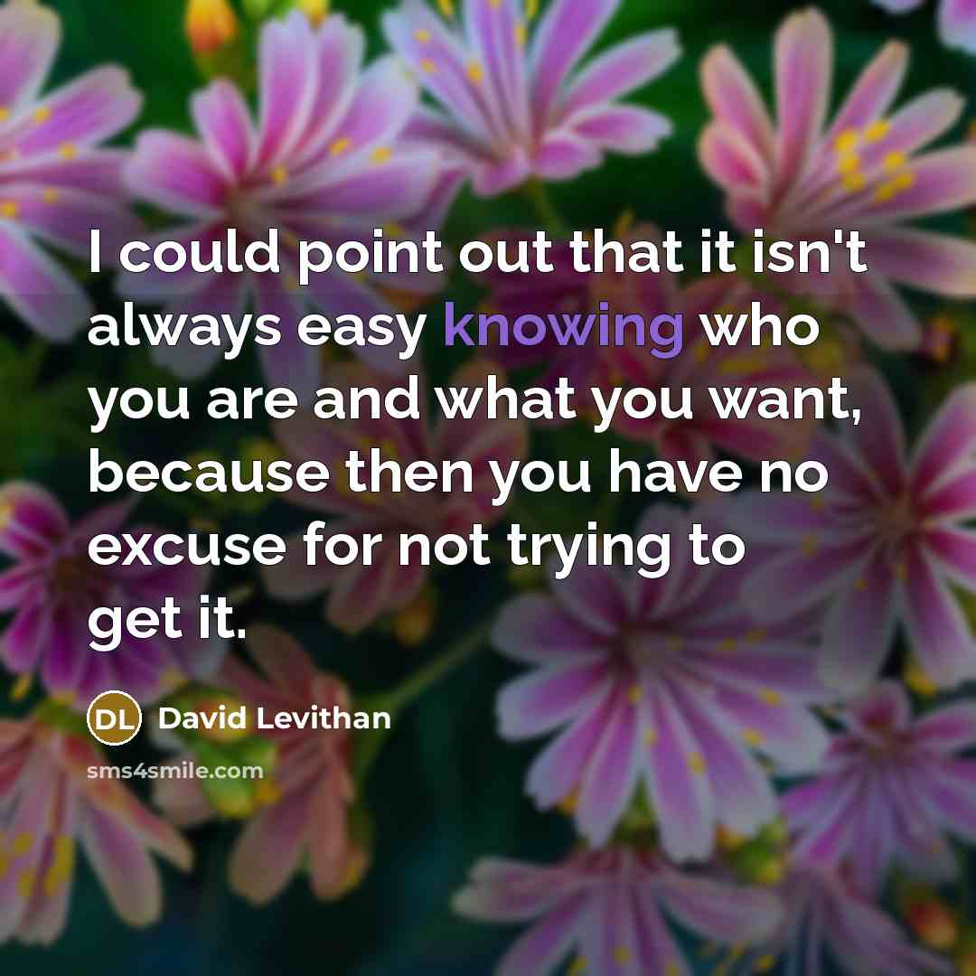 “I could point out that it isn't always easy knowing who you are and what you want, because then you have no excuse for not trying to get it.” quote by David Levithan