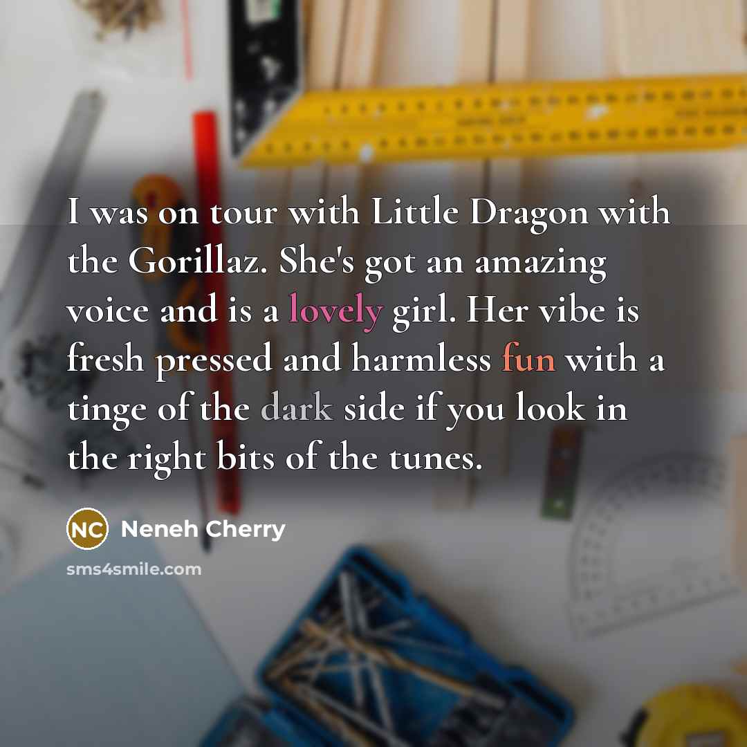 “I was on tour with Little Dragon with the Gorillaz. She's got an amazing voice and is a lovely girl. Her vibe is fresh pressed and harmless fun with a tinge of the dark side if you look in the right bits of the tunes.” quote by Neneh Cherry