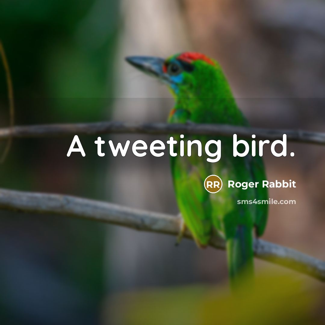 “A tweeting bird.” quote by Roger Rabbit