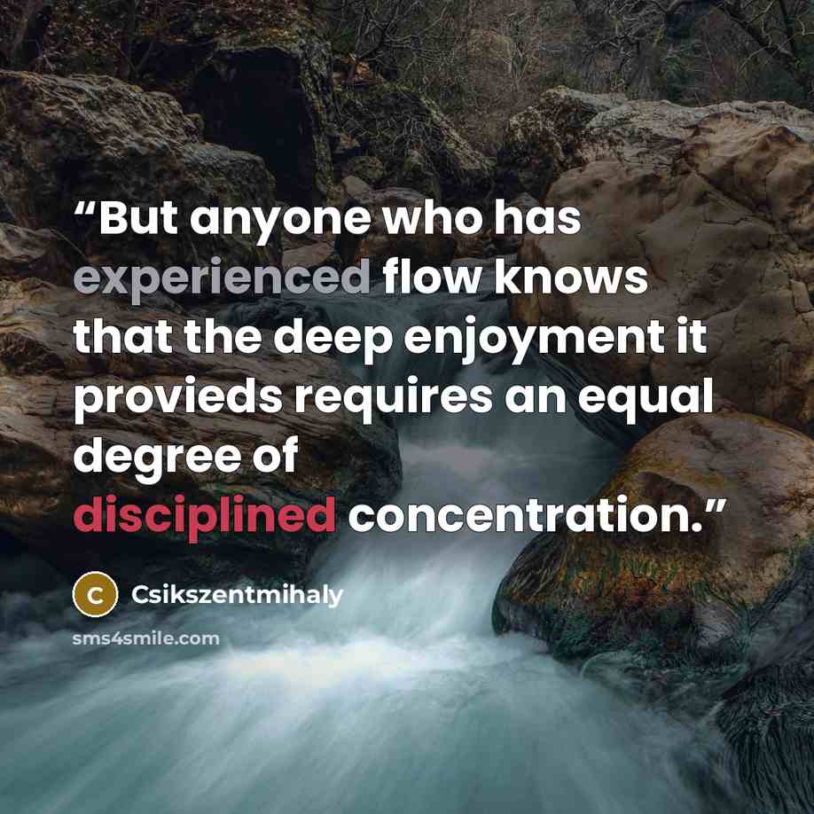 “But anyone who has experienced flow knows that the deep enjoyment it provieds requires an equal degree of disciplined concentration.” quote by Csikszentmihaly