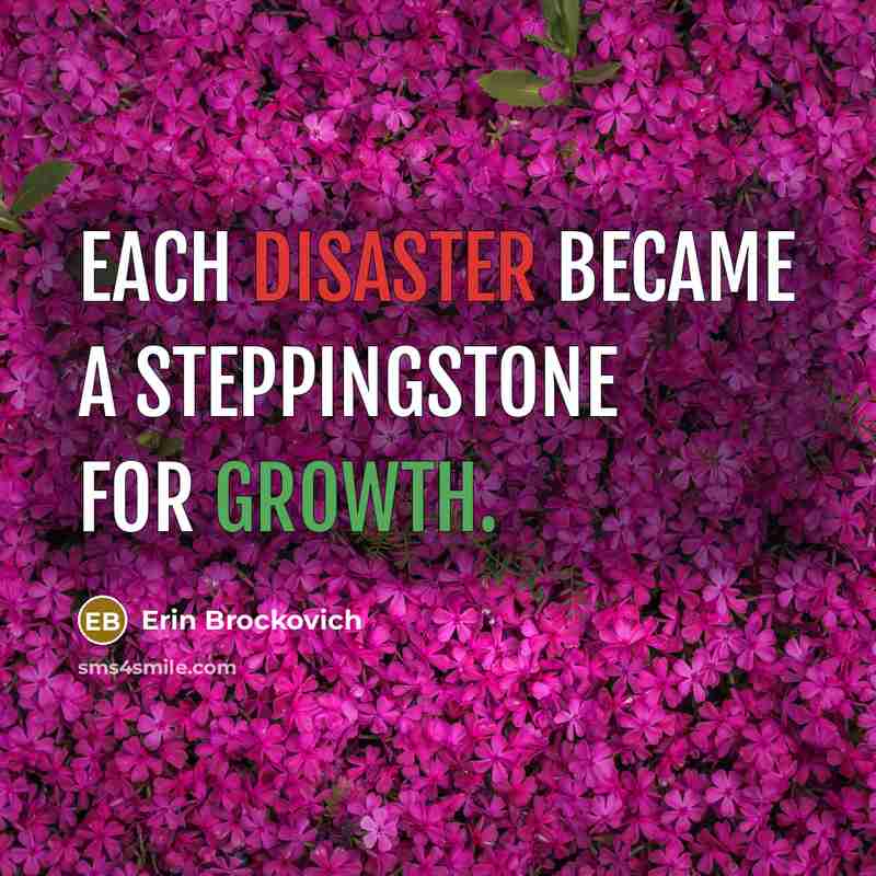 “Each disaster became a steppingstone for growth.” quote by Erin Brockovich